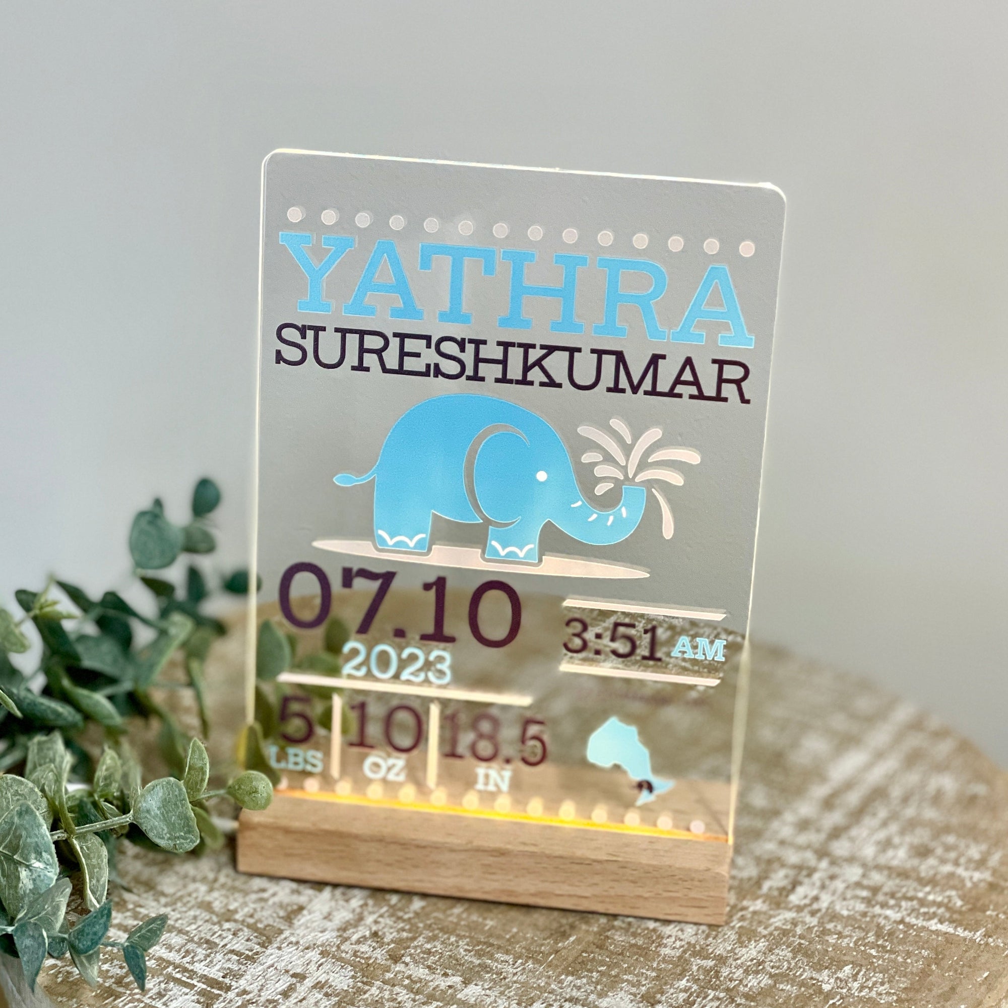Baby Birth Stats Keepsake Frame