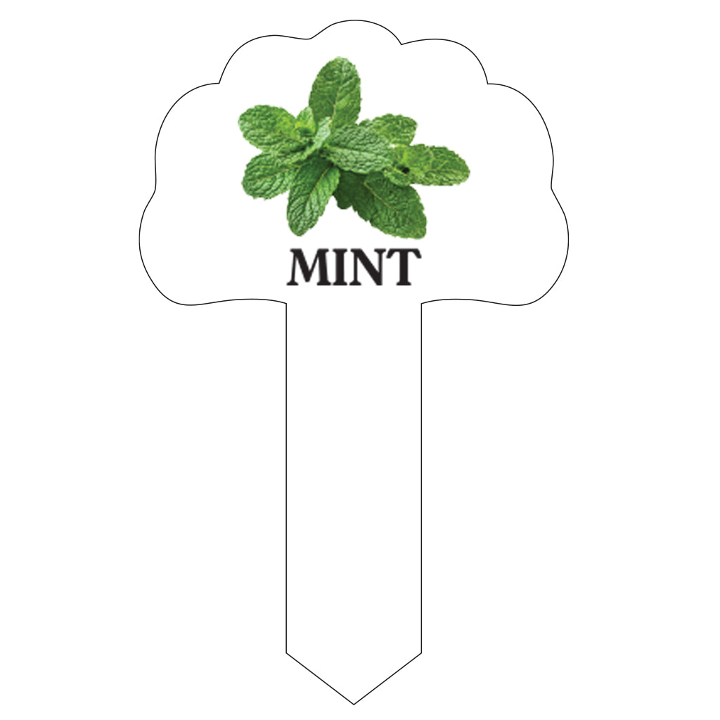 Acrylic Plant Markers