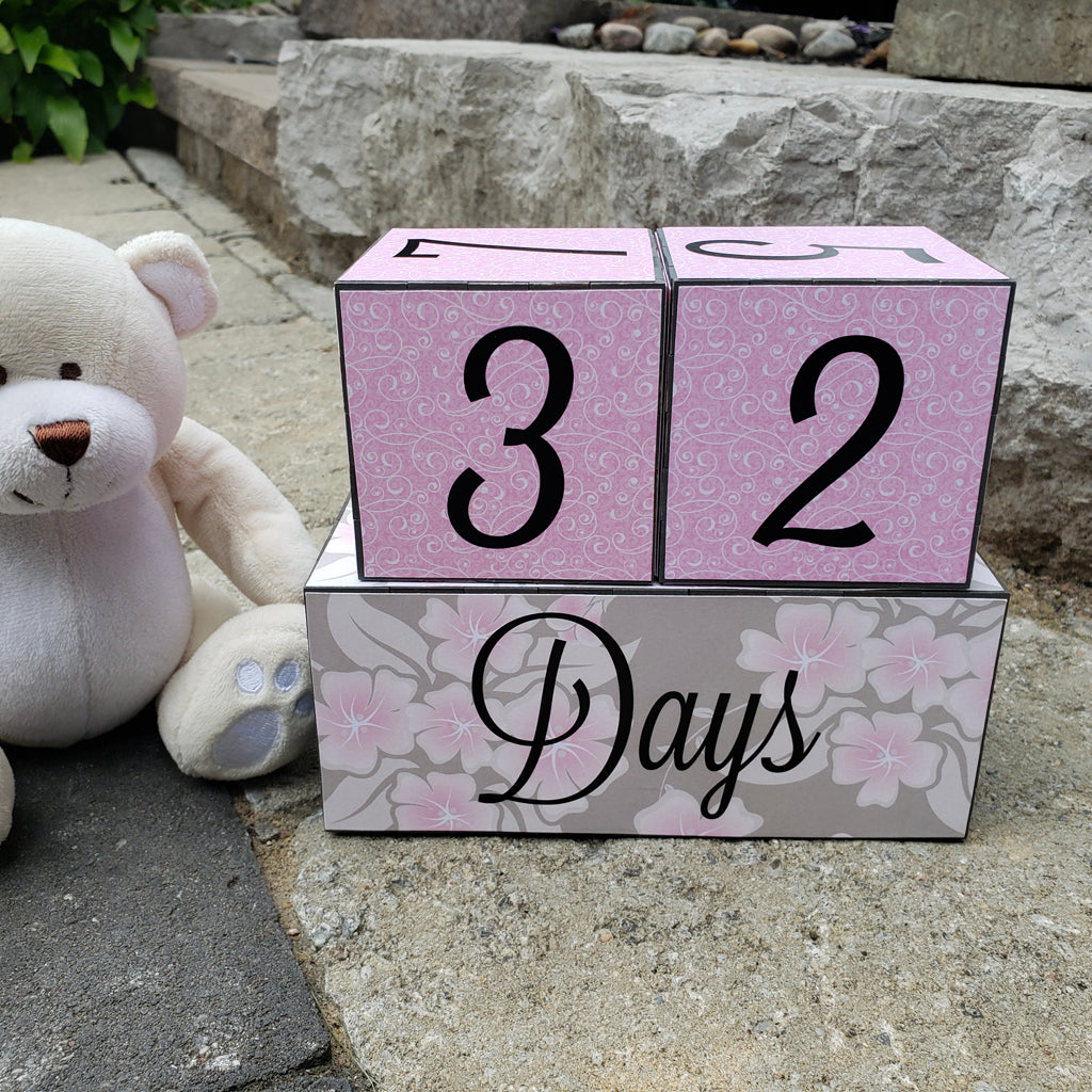 Baby Age Milestone Blocks