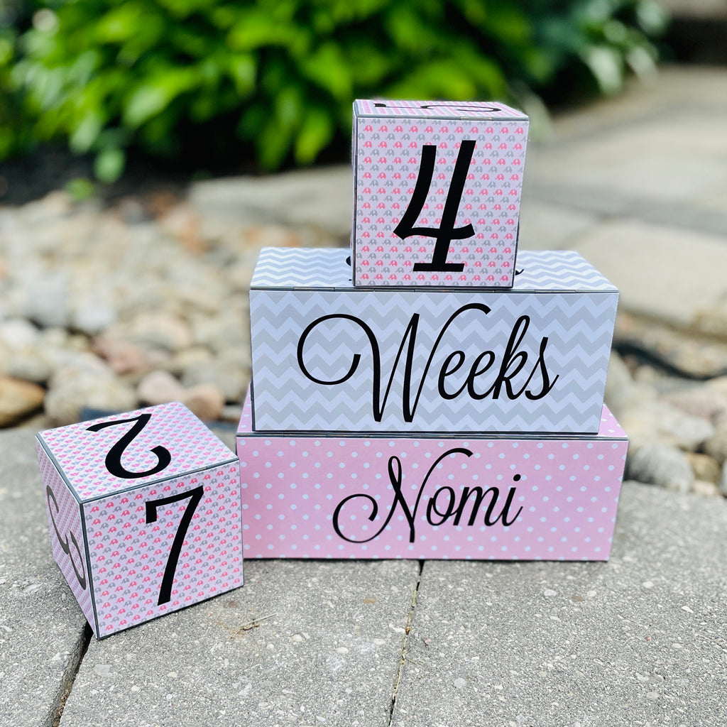 Baby Age Milestone Blocks