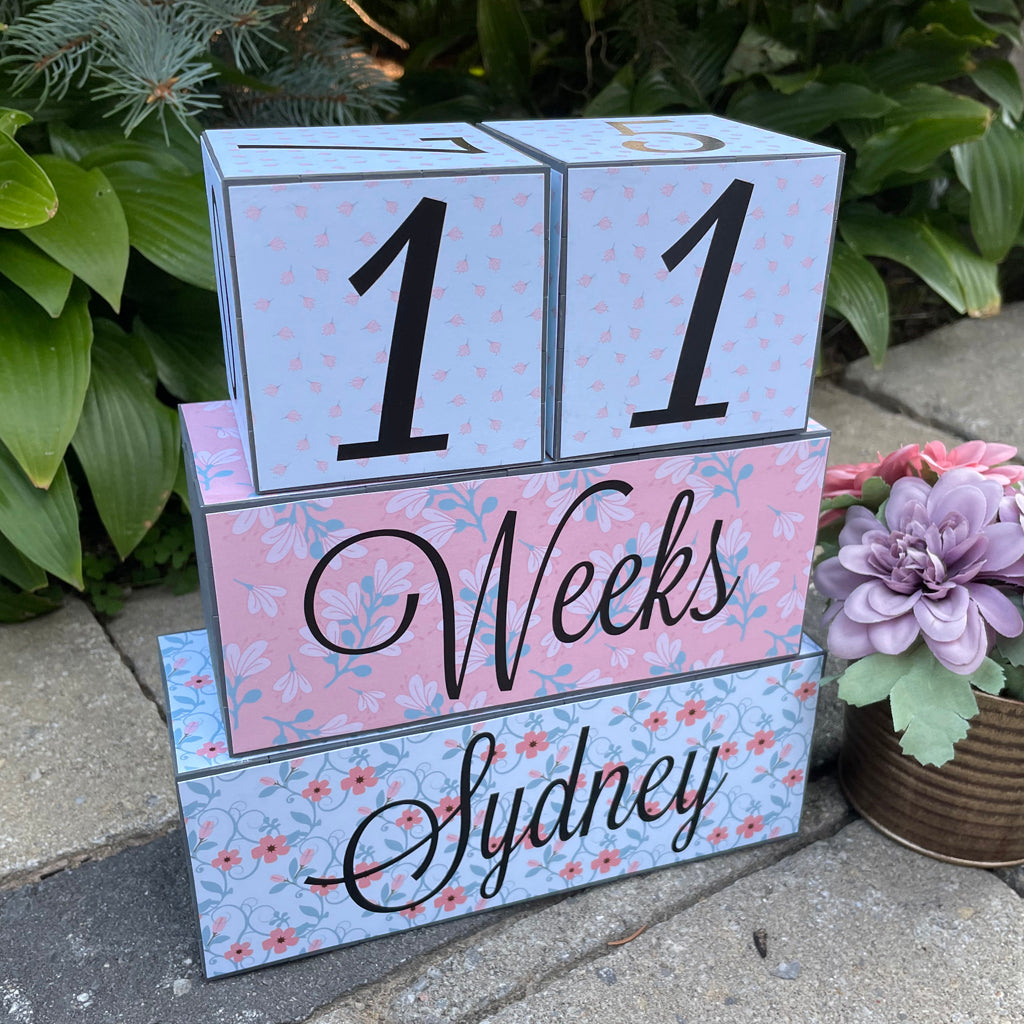 Baby Age Milestone Blocks