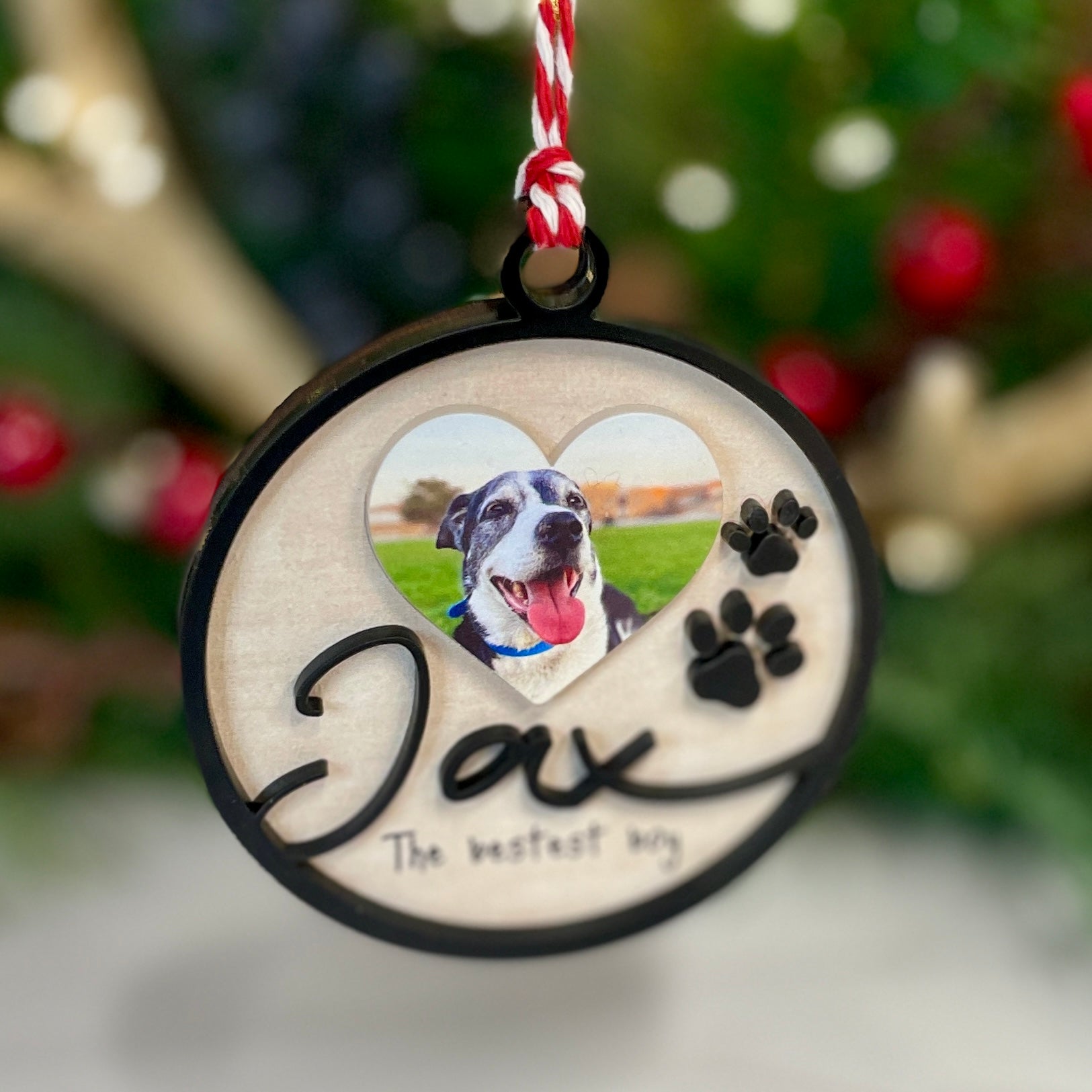 Pet Photo Memorial Ornament