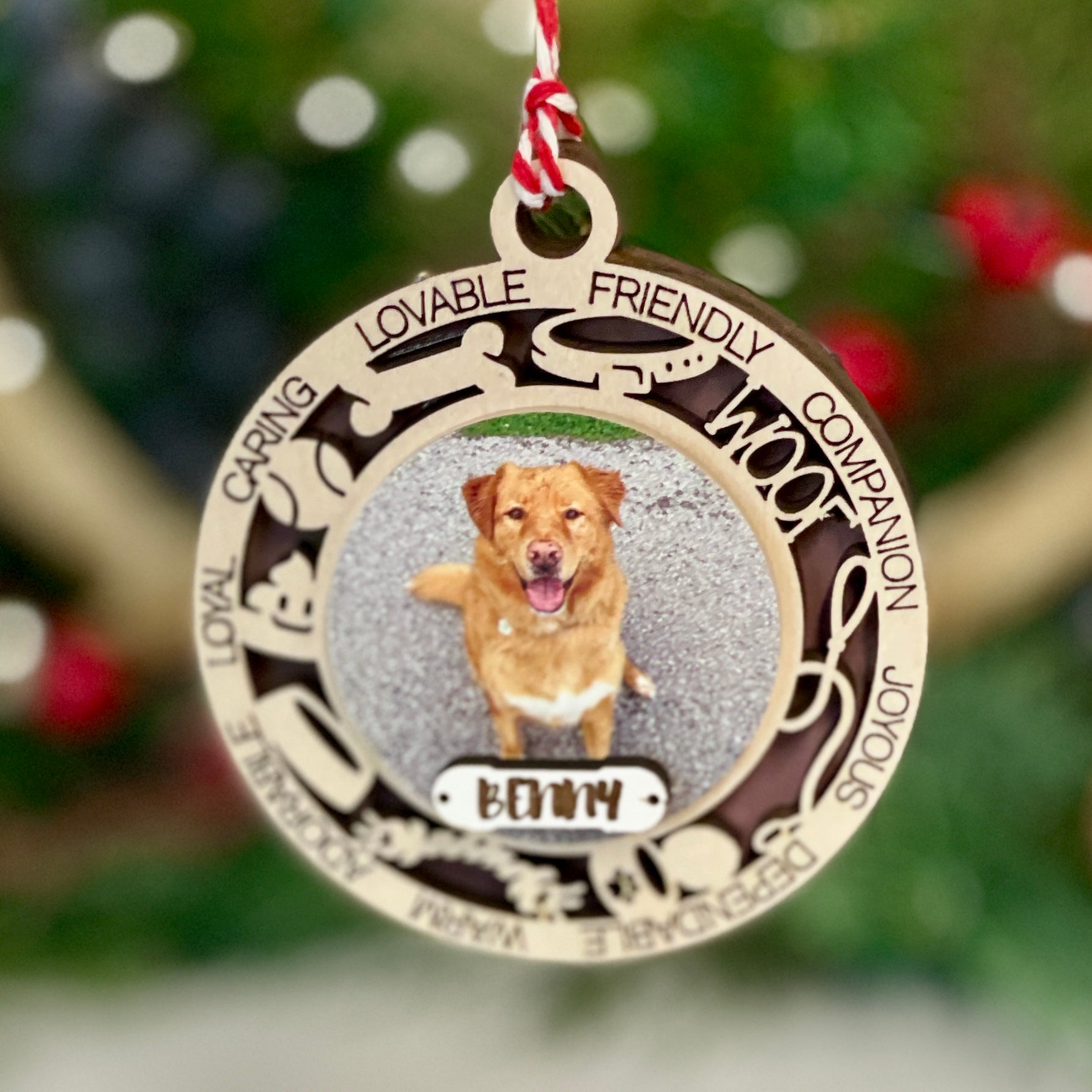 Personalized Pet Photo Ornament