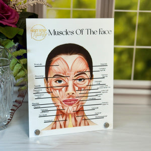 Educational poster on muscles of the face with a decorative background