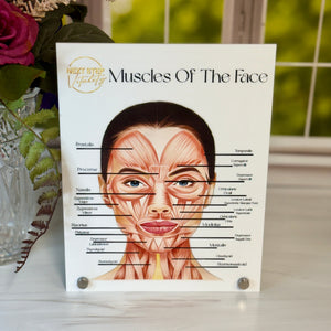 Educational poster on muscles of the face with floral and decorative elements in the background