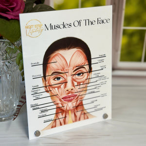 Educational chart of facial muscles on a table with flowers in the background